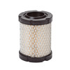 Air Filter, Briggs and Stratton